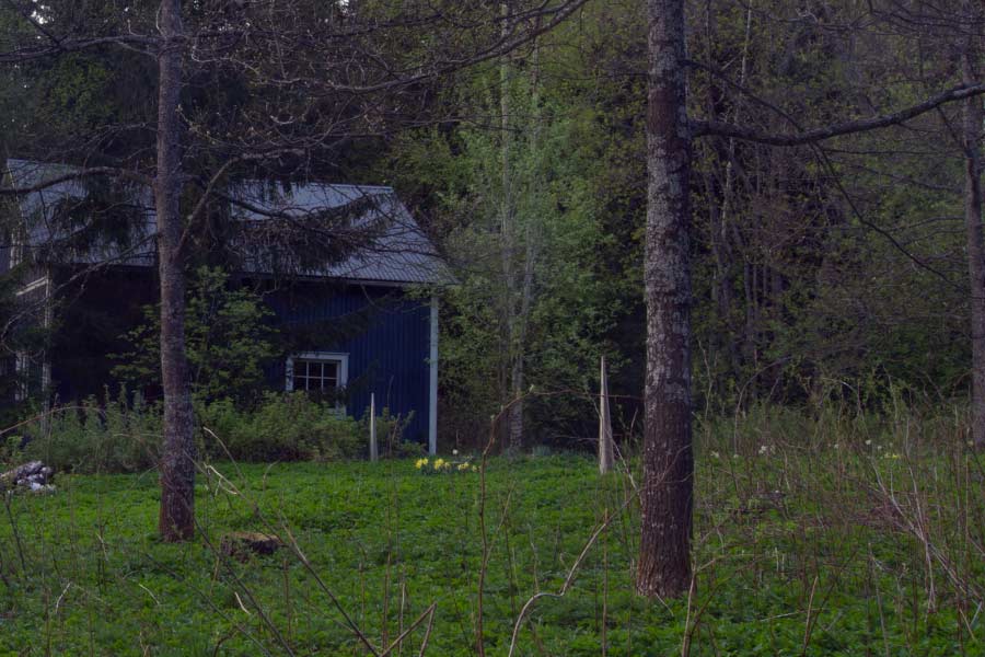 willow-ellipse - sculptures in the sculpture park, Open Air Museum POAM