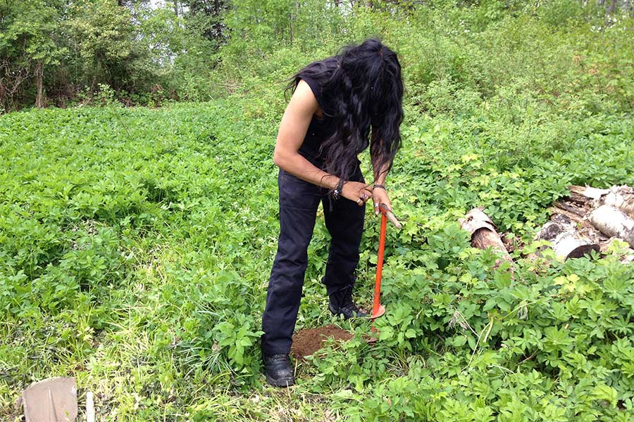 willow-ellipse - sculptures in the sculpture park, Open Air Museum POAM